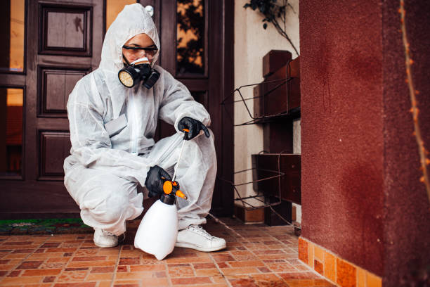 Reliable Bed Bug Control contractor in Freeport, TX by Nex Pest Control